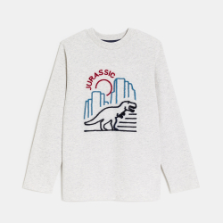 تيشيرت مزين برسمة ديناصور، باللون الرمادي للأولاد.